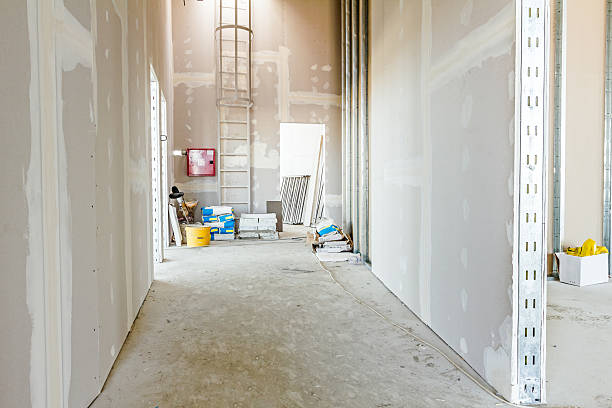 Best Drywall Texturing  in Monticello, WI